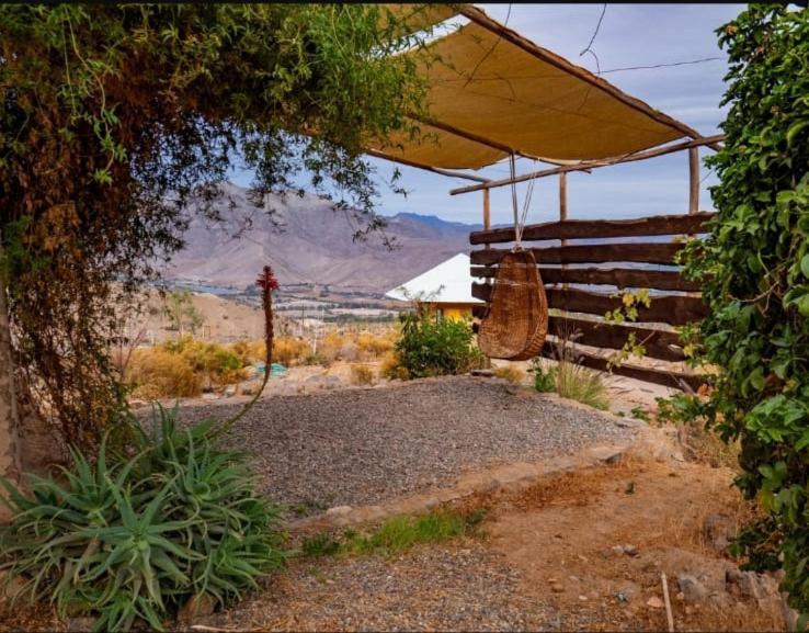 Santuario Cosmico Mamalluca * Vicuña